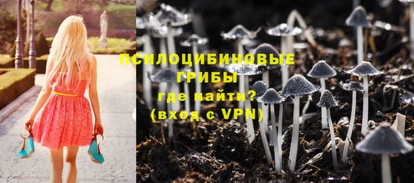марихуана Белокуриха